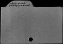 00167621.jpg