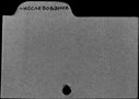 00169095.jpg