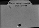 00227959.jpg