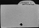 00296256.jpg